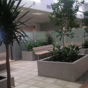 Indoor Commercial Landscaping