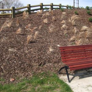 Commercial Landscaping Planting