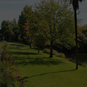 A beautiful backyard landscaping by a river in Christchurch.