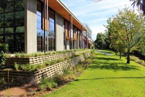 Designing landscapes with native plants for residential and commercial properties