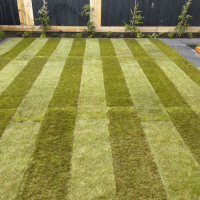 garden-maintenance garden-maintenance