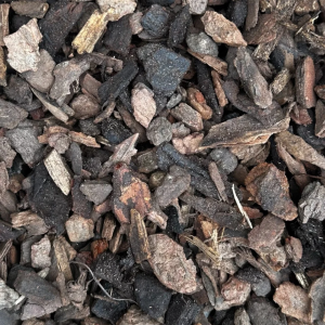 Standard Bark Nuggets