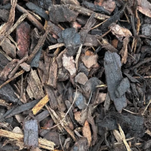 Standard Bark Nuggets